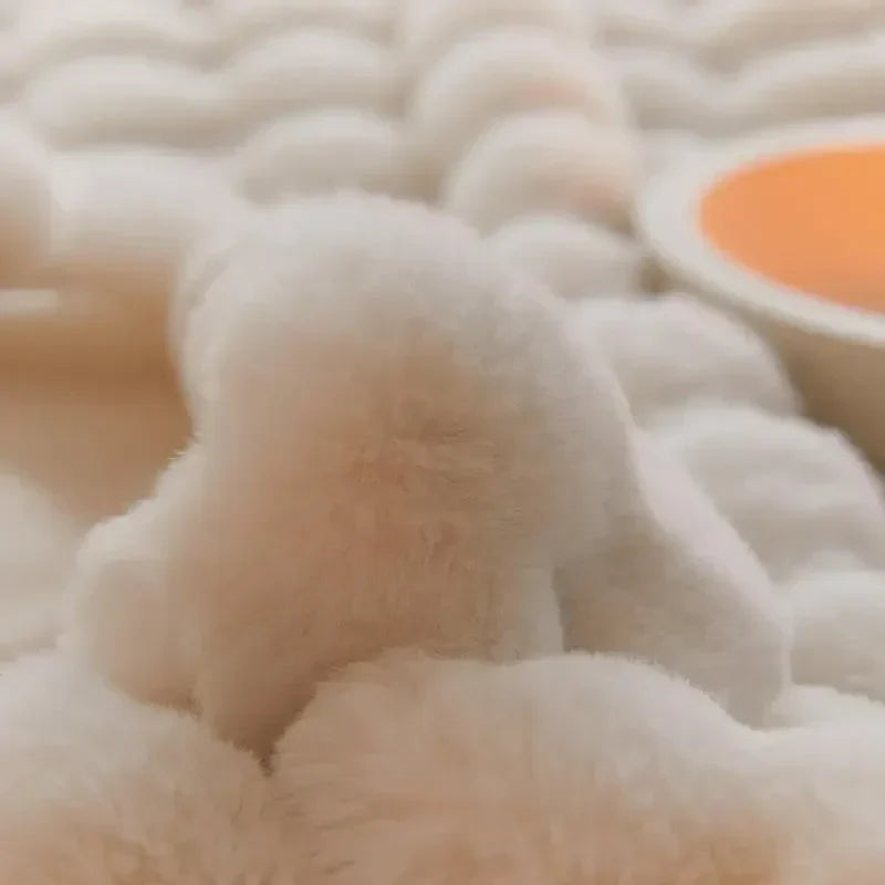 The Plush Blanket Everyone Is Talking About! - WarmWol