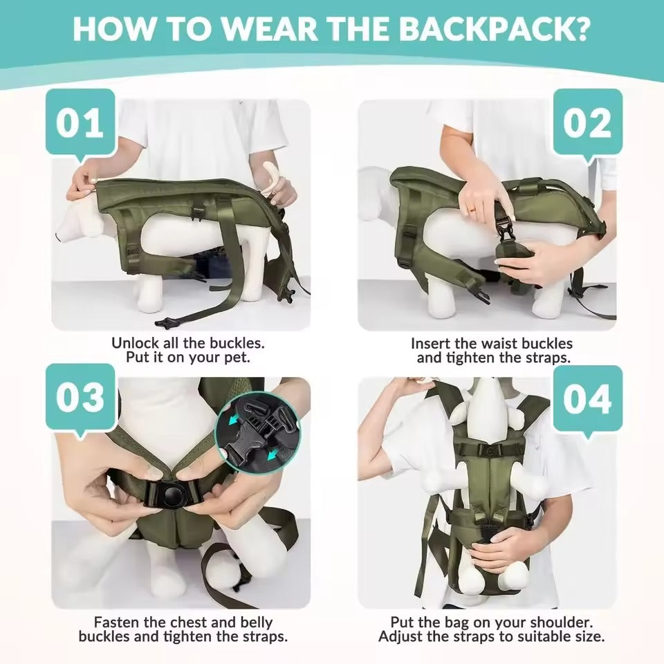 Portable Pet Carrier - Breathable & Ready to Travel