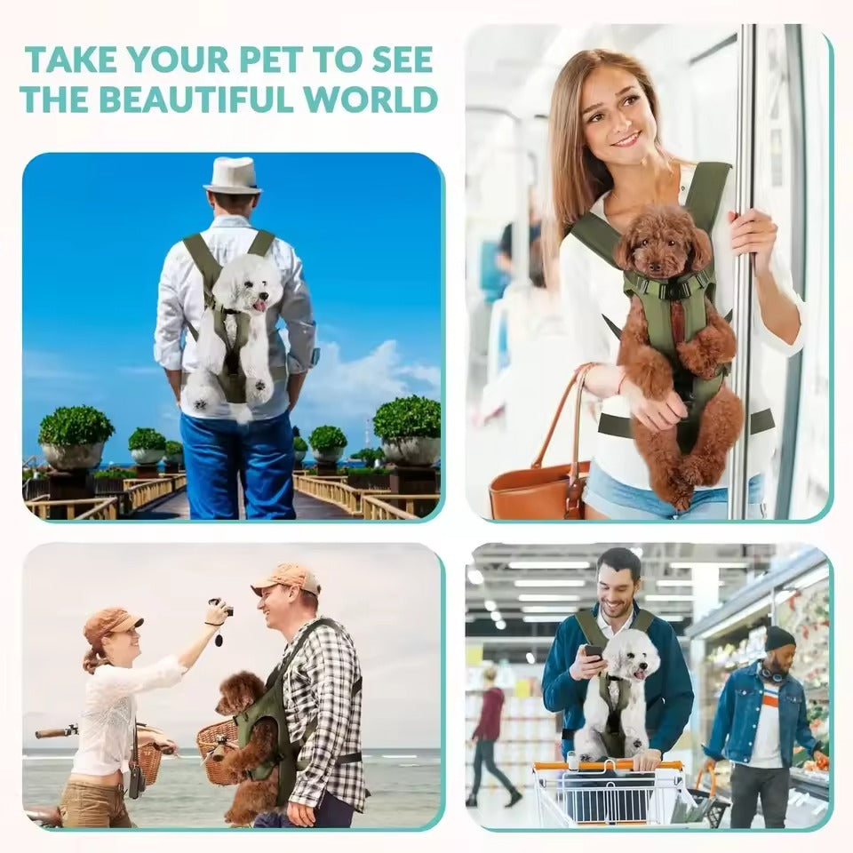 Portable Pet Carrier - Breathable & Ready to Travel