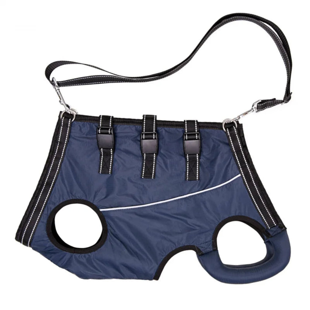 https://cdn.shopify.com/s/files/1/0755/5720/8300/files/adjustable-dog-lift-harness-for-senior-pets-full-body-support-sling-ergonomic-design-padded-and-brea-4.jpg?v=1764369369