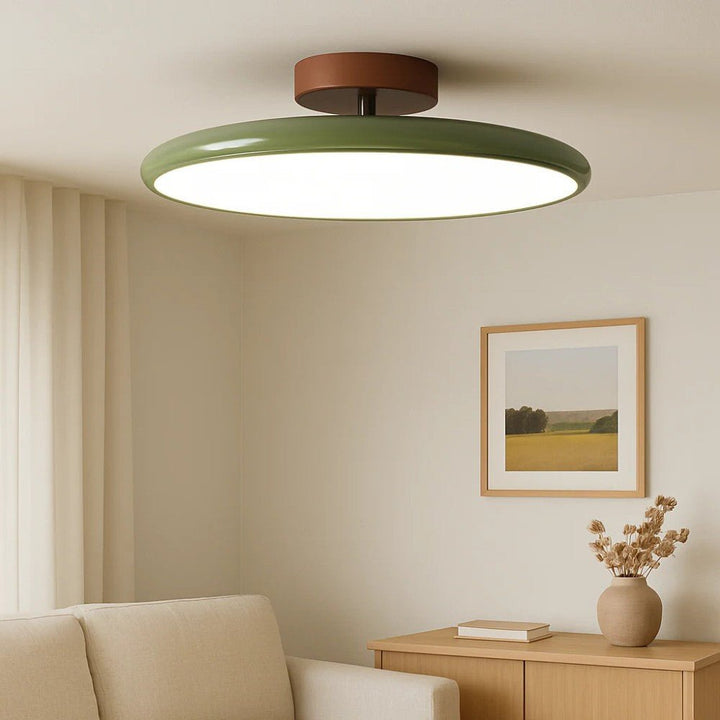 Modern Adjustable LED Ceiling Lamp