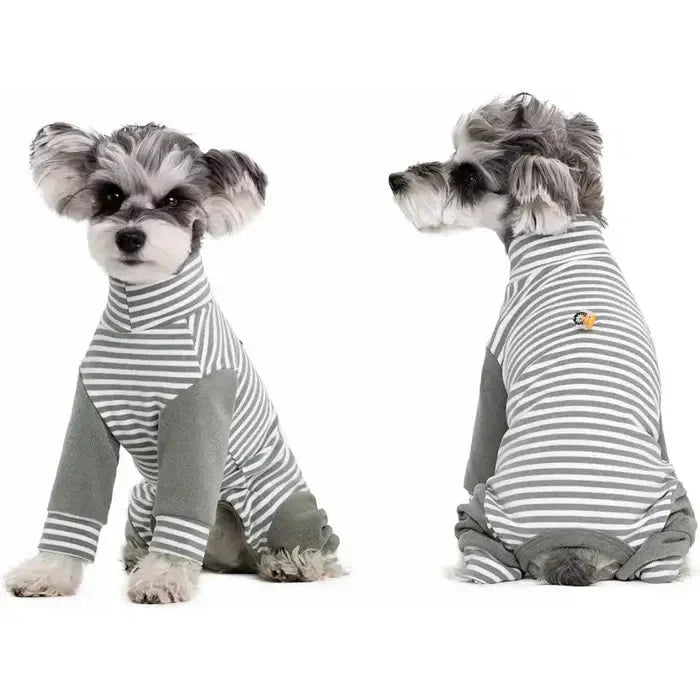 Anti-Licking • Dog Recovery Suit