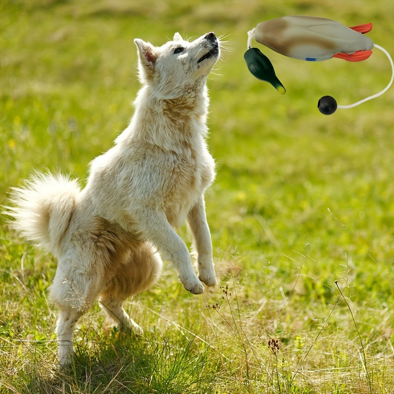 Mallard Retriever – Langlebiges Kunststoff-Trainingsspielzeug in Entenform