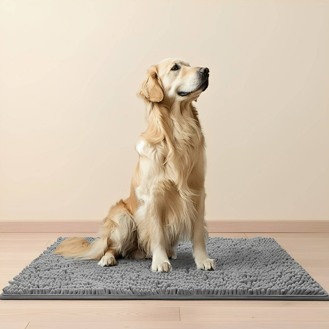 Absorbent non-slip dog door mat for muddy paws