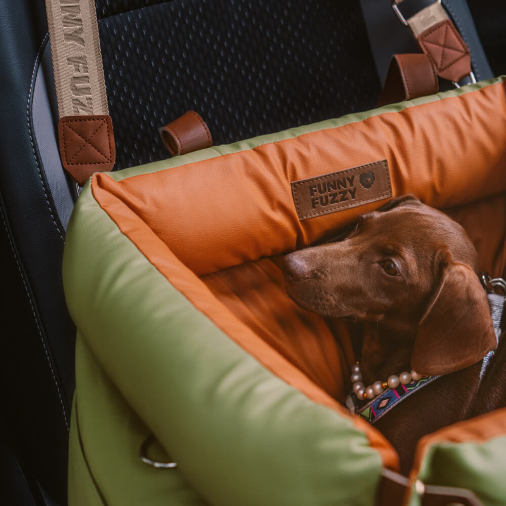 Comfortable Winter Car Seat for Dogs - PawLuxury