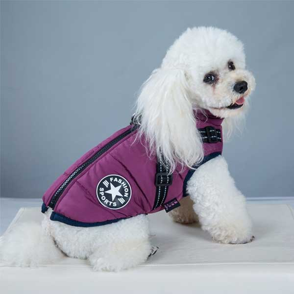 PupGuard - Winter Dog Coat with Harness