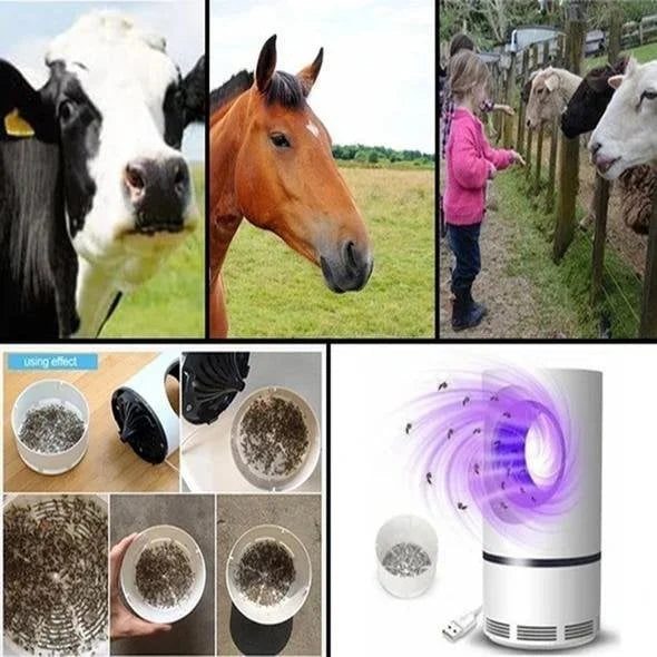Mosquito Lamp | Electric Mosquito Zapper | Electric Insect Catcher