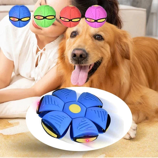 Dog Toy | Indestructible 2-in-1 Dog Toy | FlitzDisc
