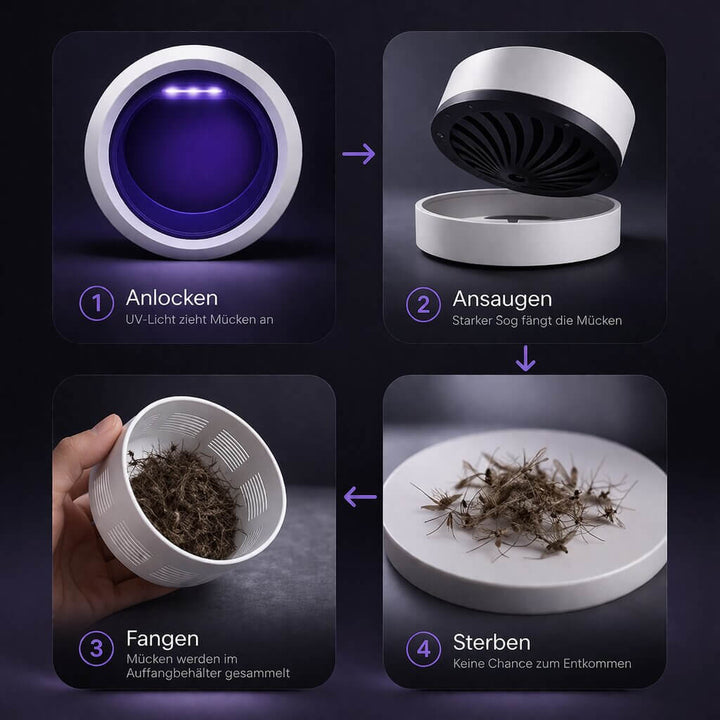 Fruit Fly Trap | Indoor and Outdoor UV Mosquito Lamp | Mosquito Traps | Insectra