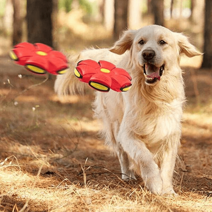 Dog Toy | Indestructible 2-in-1 Dog Toy | FlitzDisc