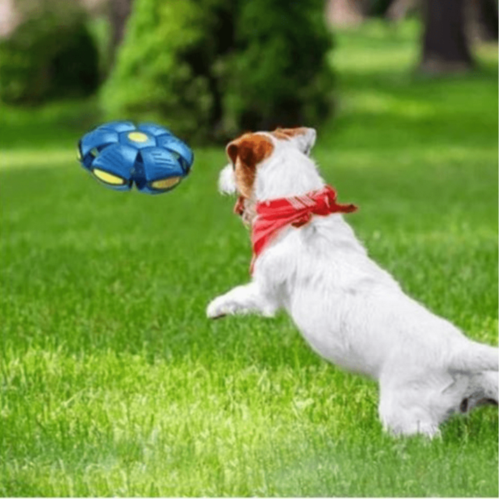 Dog Toy | Indestructible 2-in-1 Dog Toy | FlitzDisc