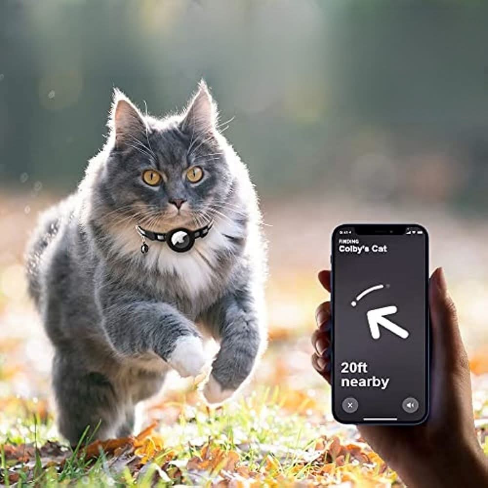 Adjustable Cat Collar with GPS and Reflective Strip