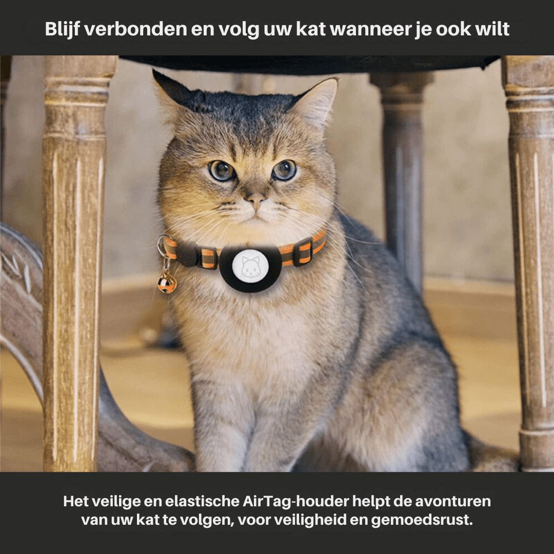 Adjustable Cat Collar with GPS and Reflective Strip