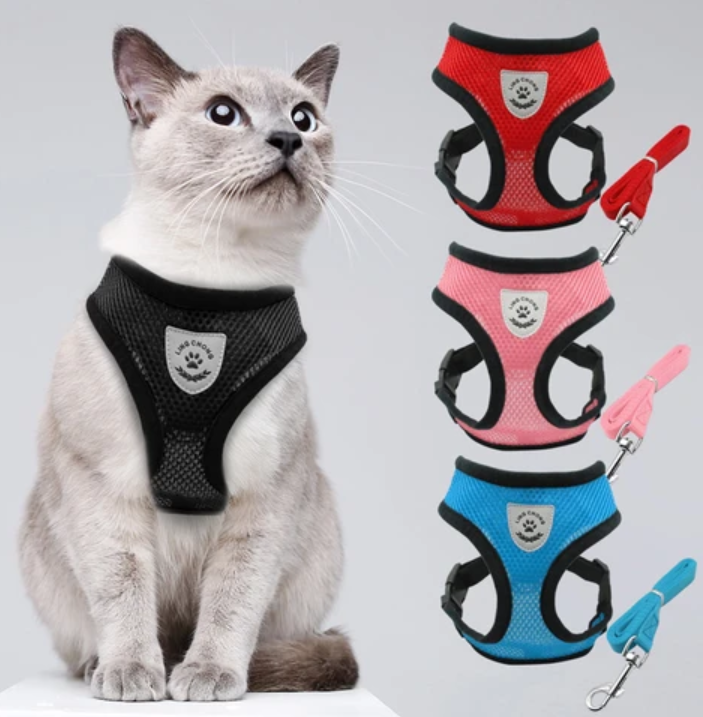 Cat Harness with Leash - Safety and Comfort for Adventures