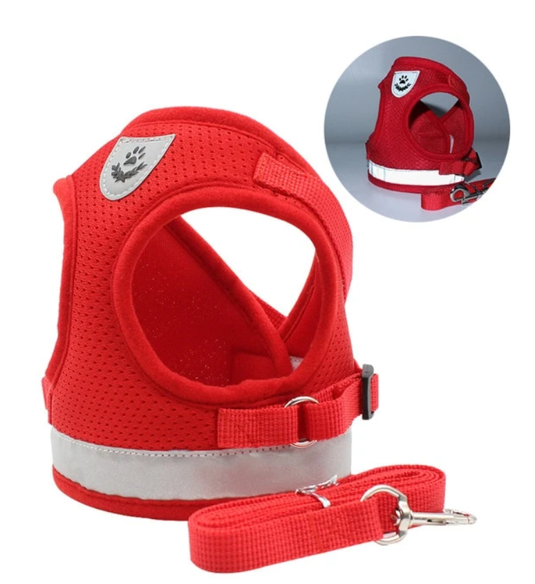 Cat Harness with Leash - Safety and Comfort for Adventures