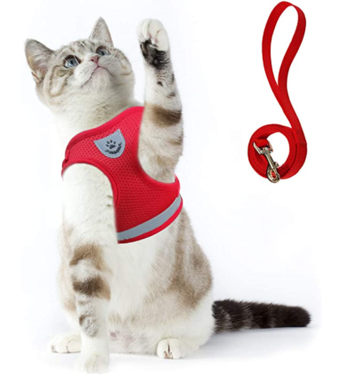 Cat Harness with Leash - Safety and Comfort for Adventures