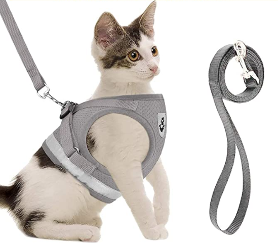 Cat Harness with Leash - Safety and Comfort for Adventures