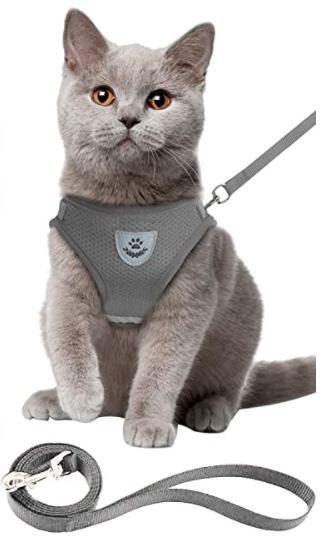 Cat Harness with Leash - Safety and Comfort for Adventures