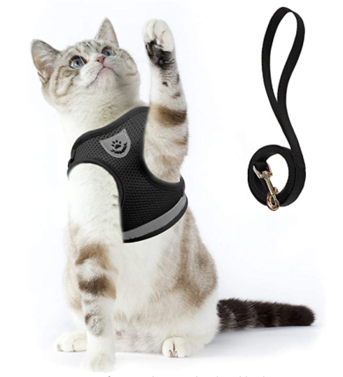 Cat Harness with Leash - Safety and Comfort for Adventures