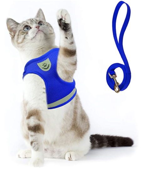 Cat Harness with Leash - Safety and Comfort for Adventures