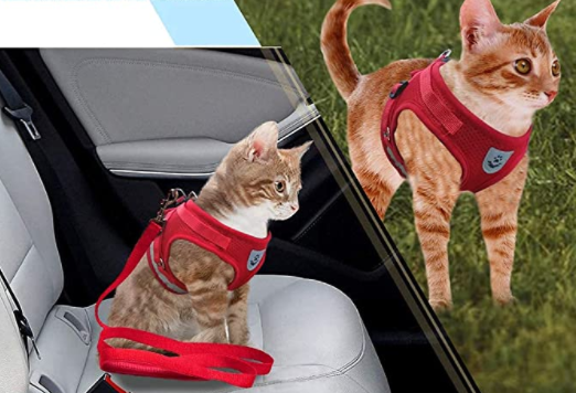 Cat Harness with Leash - Safety and Comfort for Adventures