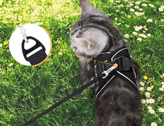 Cat Harness with Leash - Safety and Comfort for Adventures