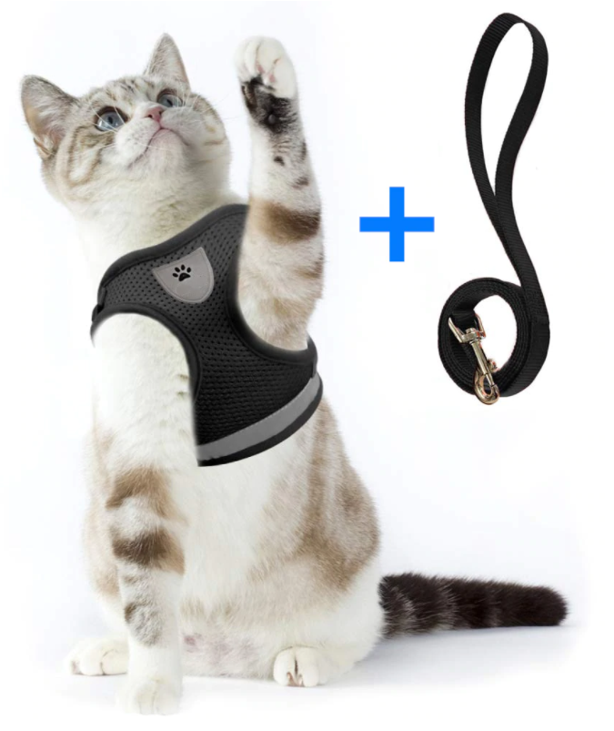 Cat Harness with Leash - Safety and Comfort for Adventures