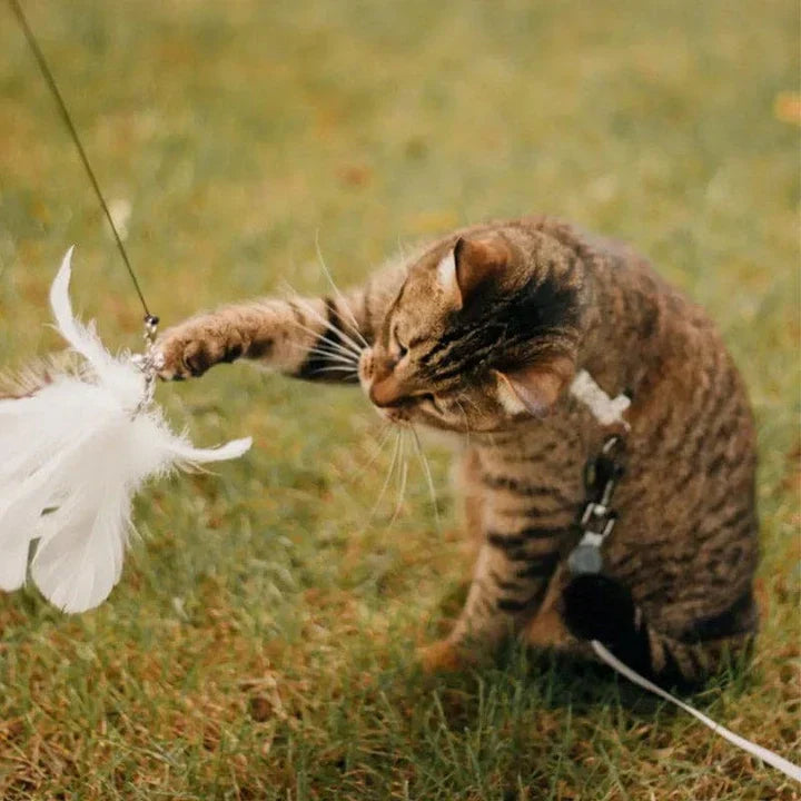 Interactive Cat Toy - FlutterFriend