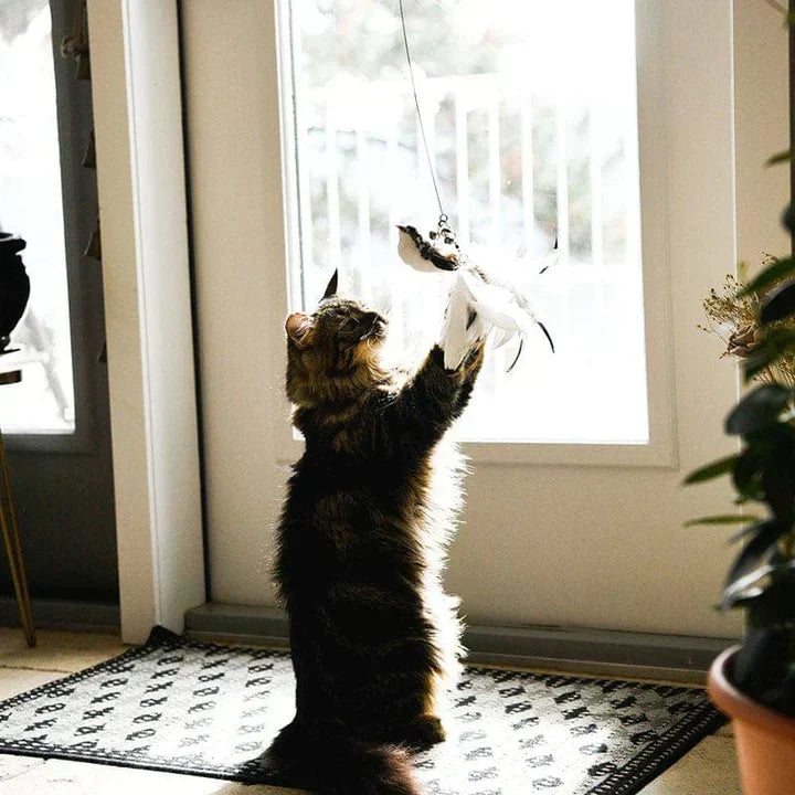 Interactive Cat Toy - FlutterFriend