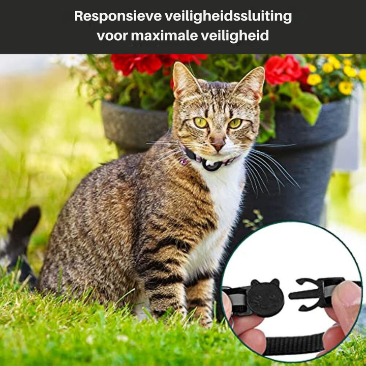 Cat Collar with Safety Buckle - Milo