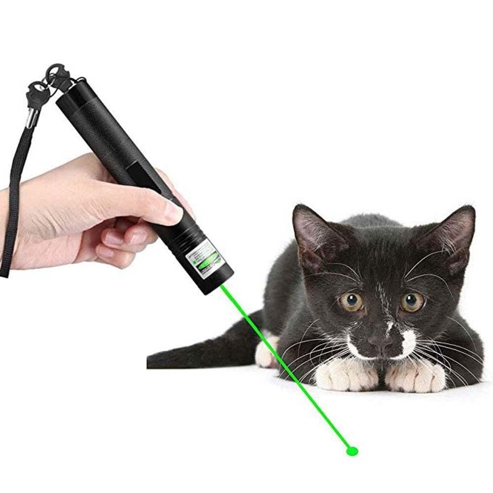 RegalBeam Precision Laser | Bright Green Laser for Professional Presentations and Outdoor Use