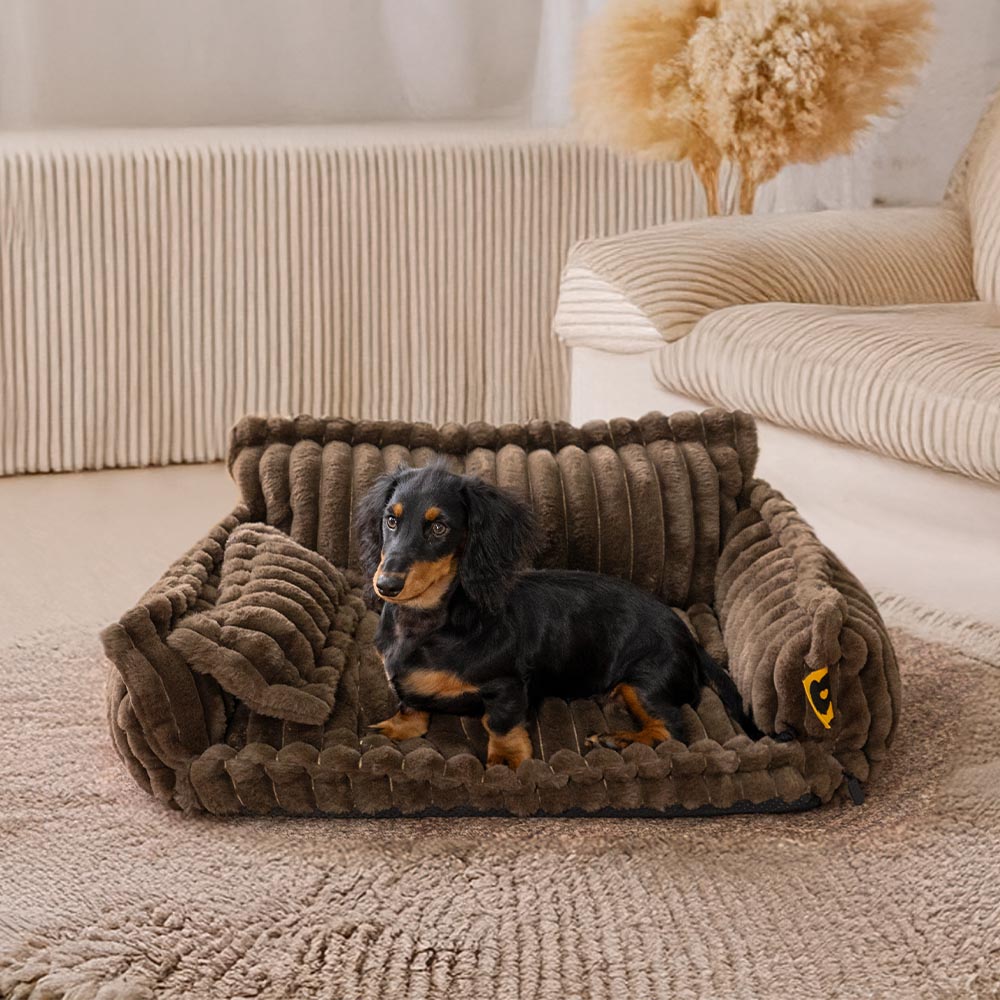 Orthopaedic Dog Bed - Extreme Support and Comfort