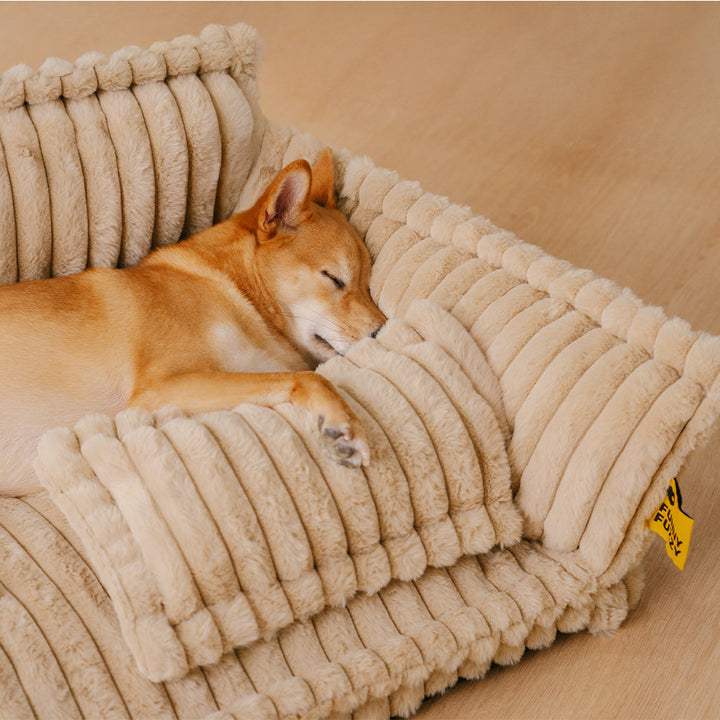 Orthopaedic Dog Bed - Extreme Support and Comfort