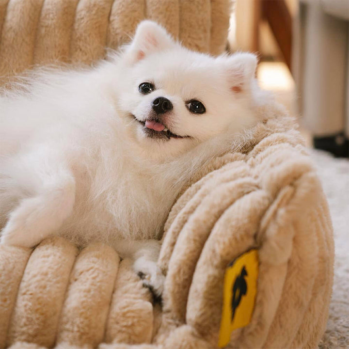 Orthopaedic Dog Bed - Extreme Support and Comfort
