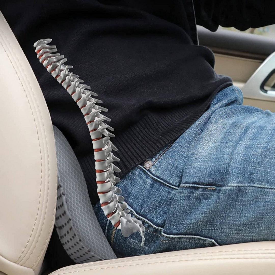 Pro-Version Sitzerhöhungskissen für Autositze für mehr Fahrkomfort