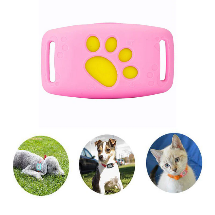 PetSafe GPS-Halsband für Haustiere - Echtzeit-Tracking, wasserdicht und ohne Abo