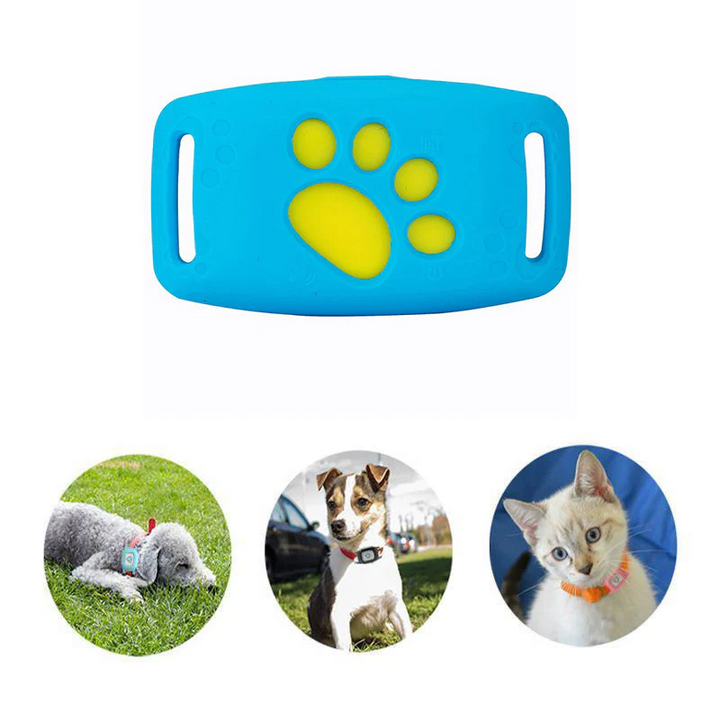 PetSafe GPS Pet Collar - Real-Time Tracking, Waterproof and Subscription-Free