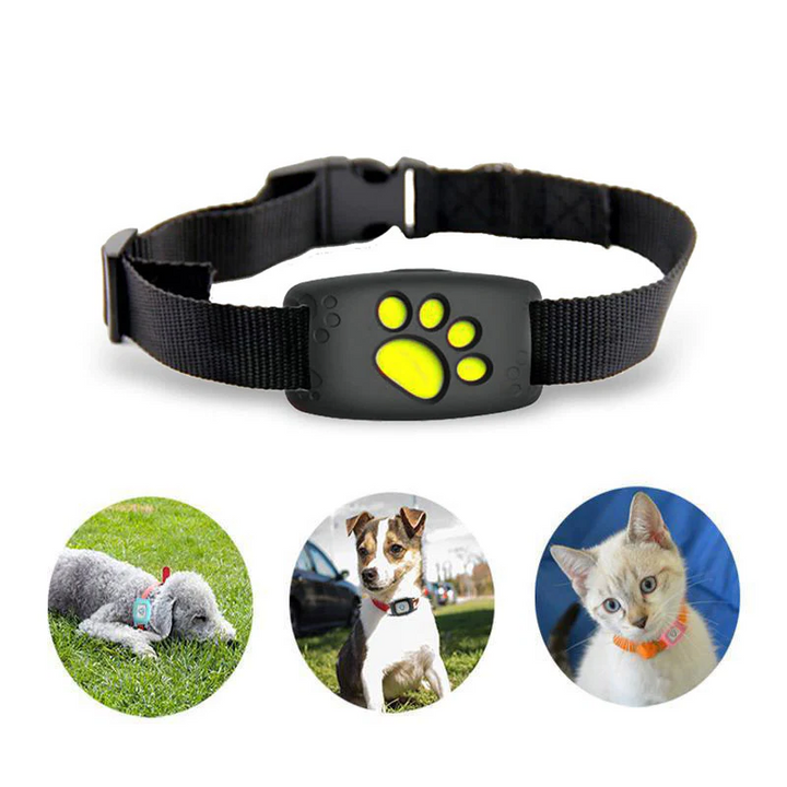 PetSafe GPS Pet Collar - Real-Time Tracking, Waterproof and Subscription-Free