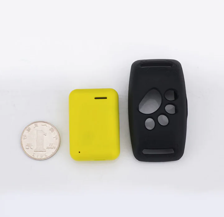 PetSafe GPS Pet Collar - Real-Time Tracking, Waterproof and Subscription-Free