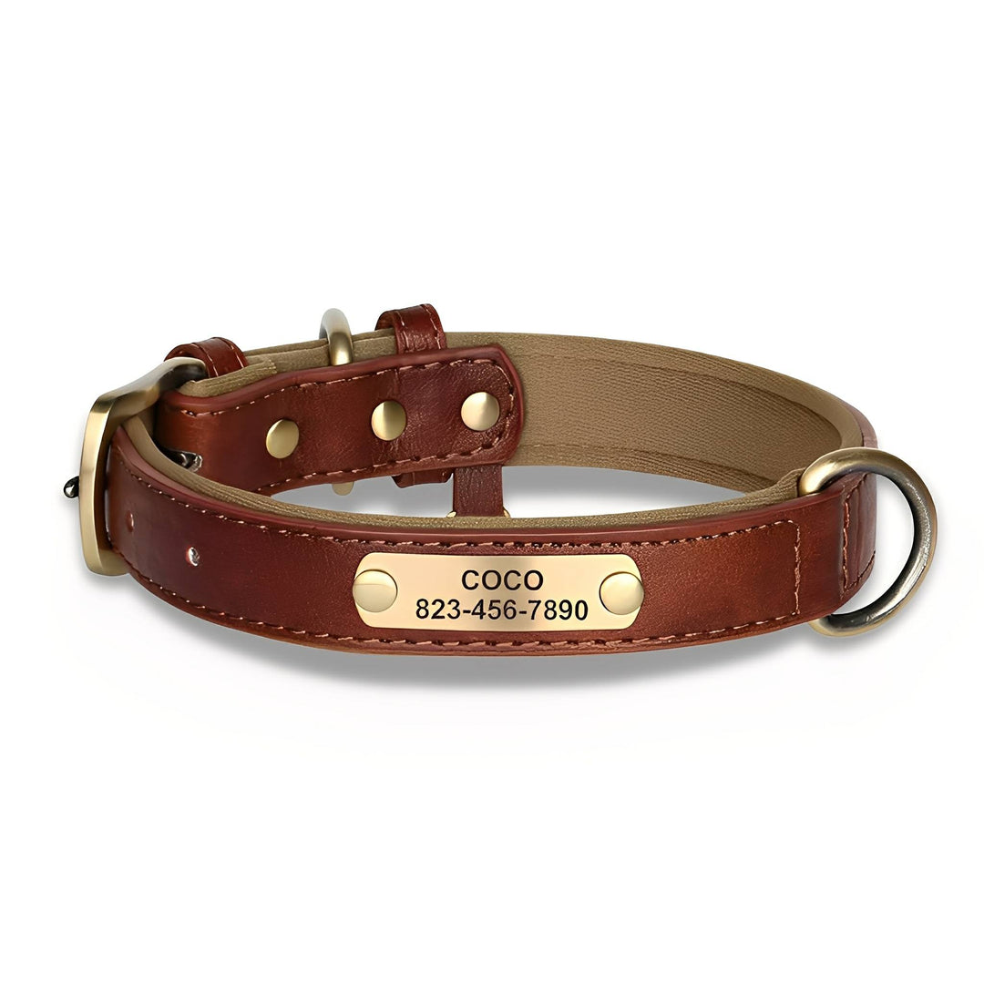 Engraved Leather Dog Collar with Personalised Nameplate