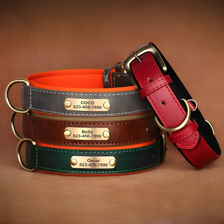 Engraved Leather Dog Collar with Personalised Nameplate