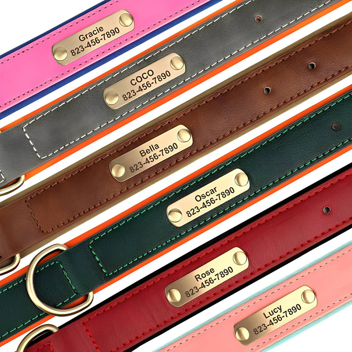 Engraved Leather Dog Collar with Personalised Nameplate