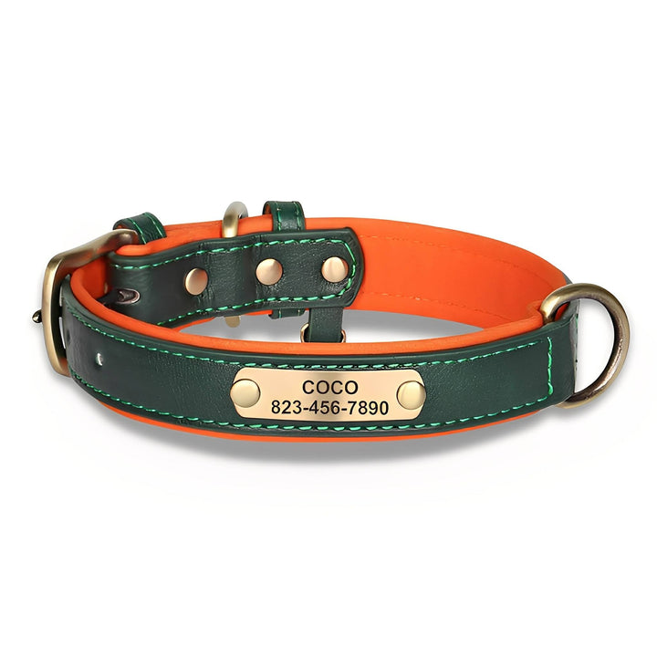Engraved Leather Dog Collar with Personalised Nameplate