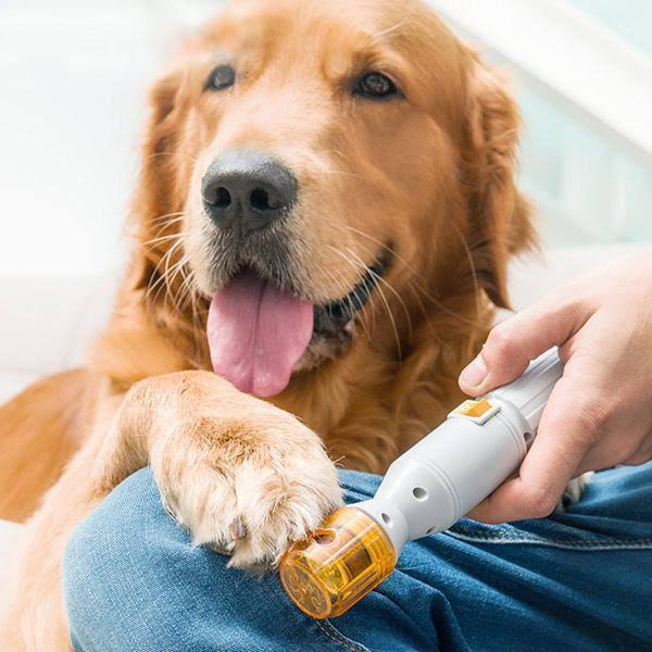 Painless Pet Nail Clippers - Comfortable