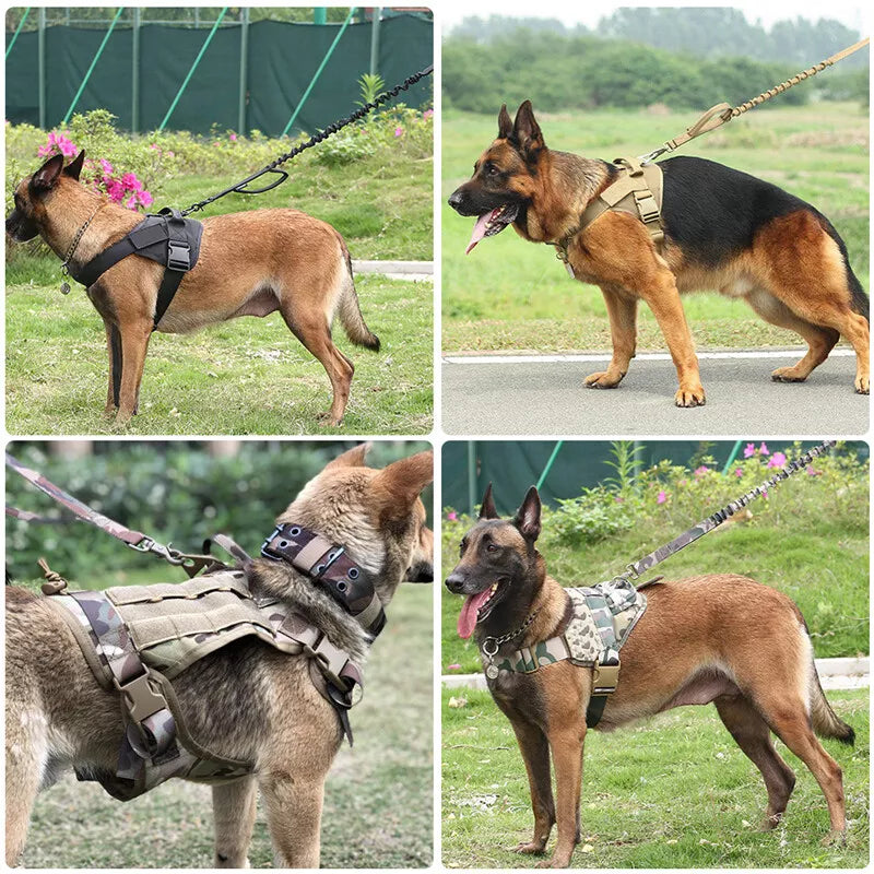 No-Pull Dog Harness – Rexon