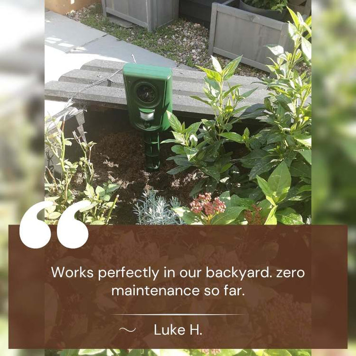 Ultrasonic Cat Repellent