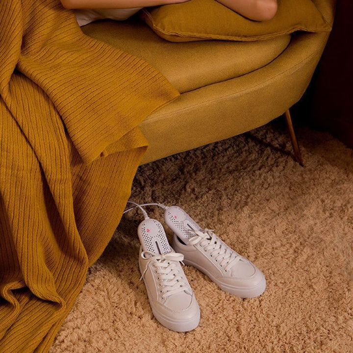 Antibacterial Shoe Dryer for Eliminating Bad Odours