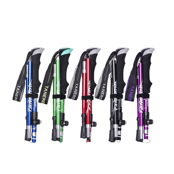 Telescopic Trekking Poles – TrailMaster