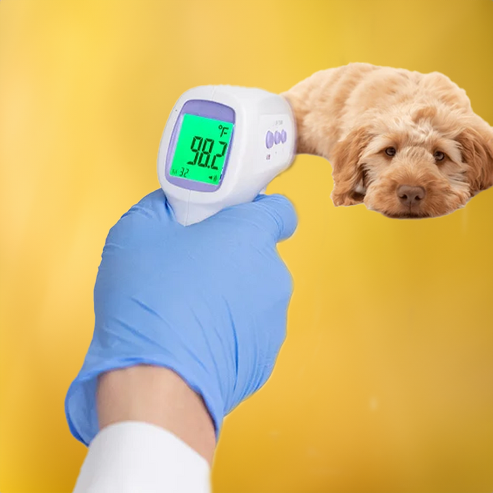 Kontaktloses Hundethermometer mit Ein-Klick-Messung